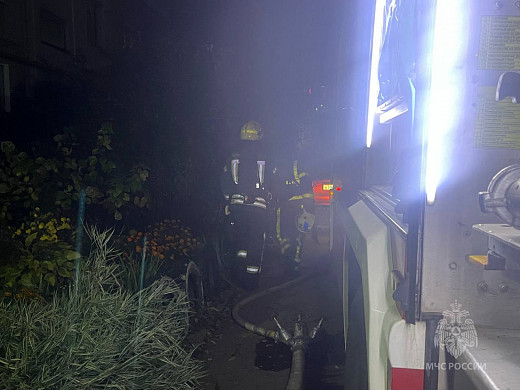 В Иванове во время пожара в многоэтажке эвакуировали взрослых, детей и собак